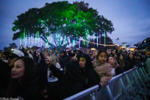 Crowd of festival-goers at a concert barrier, hands raised under hanging green and purple light strands at dusk near a large tree.