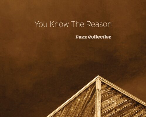 Album cover with a brown sky and a slanted wooden roof; title 'You Know The Reason' and artist 'Fuzz Collective'