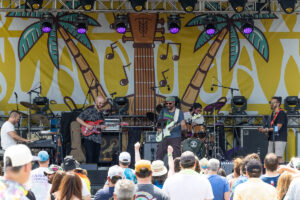 Crickets and Cicadas with Aron Magner | Island Jam