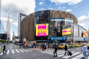 Goose | Madison Square Garden