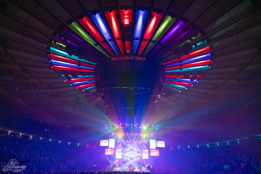Goose | MSG