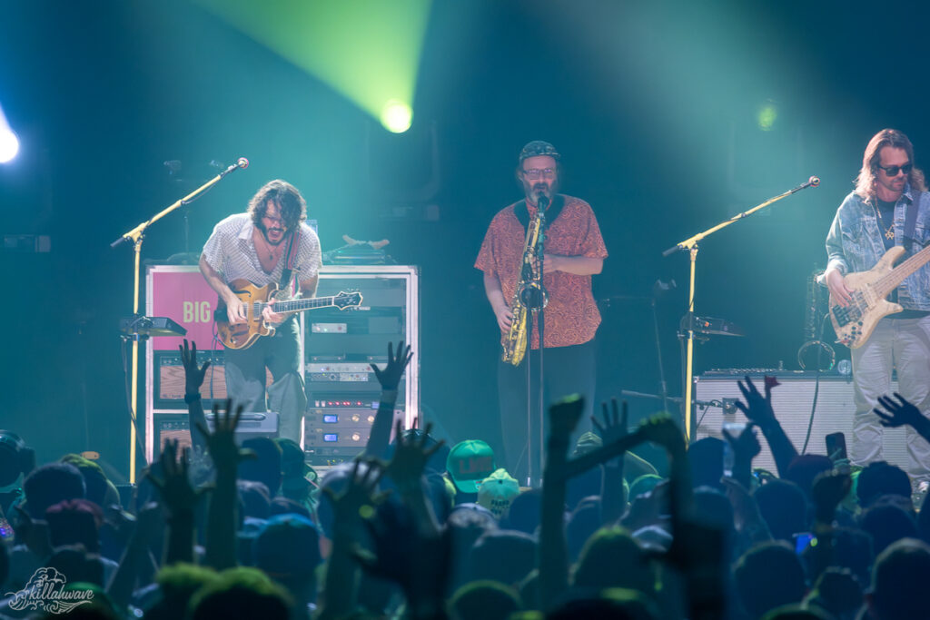 Goose | MSG