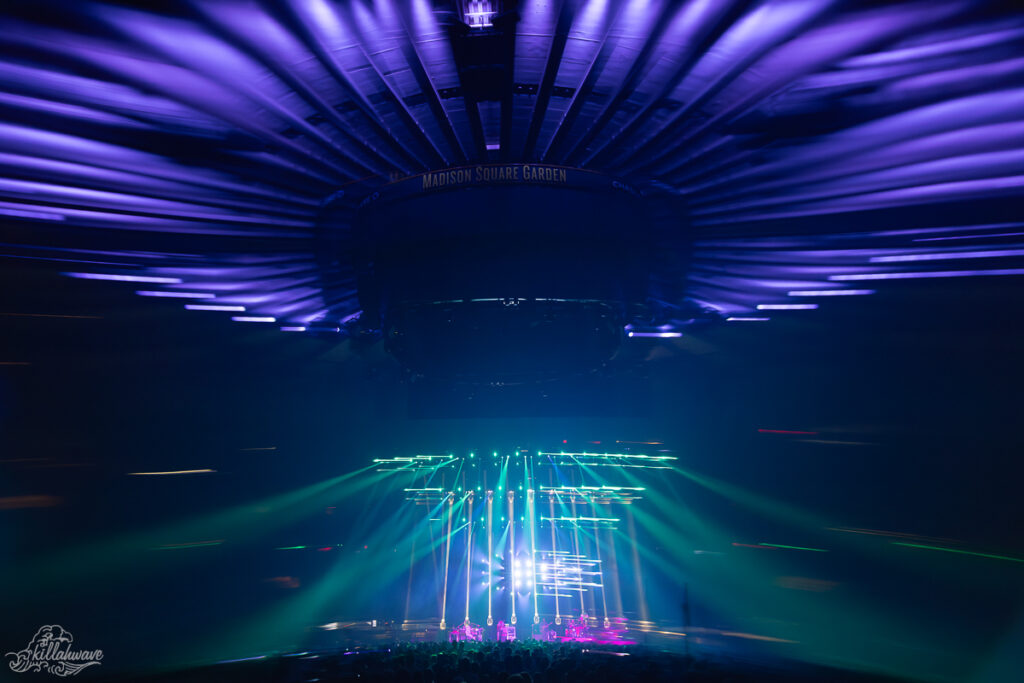 Goose | MSG
