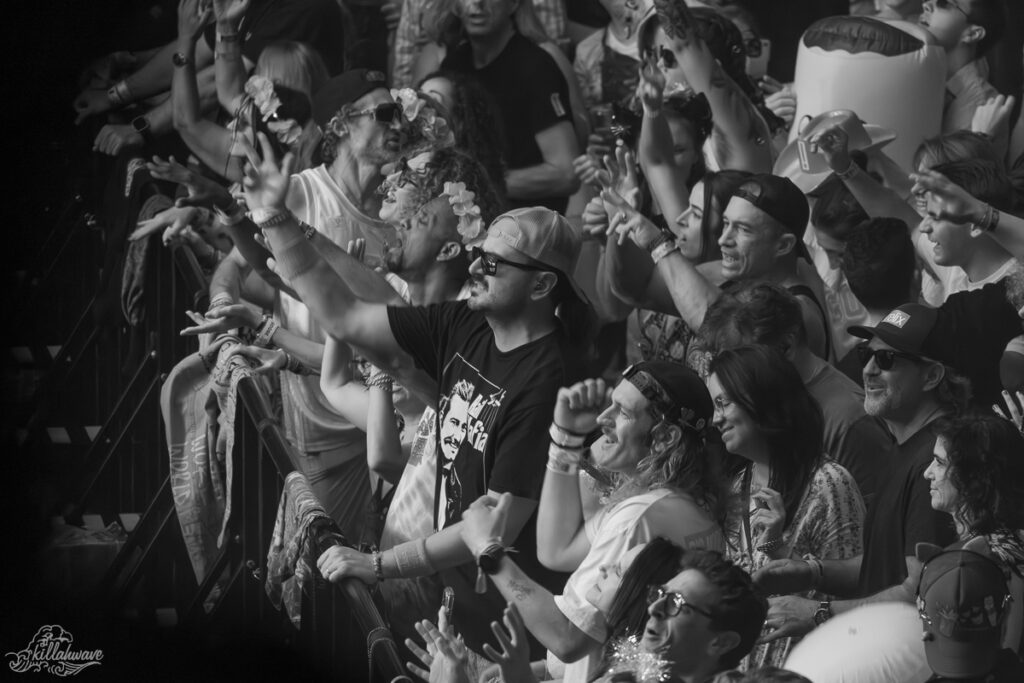 Goose | MSG