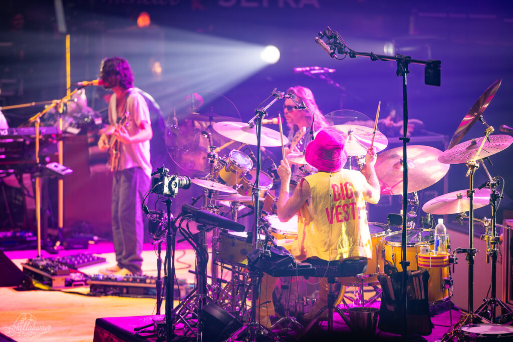 Goose | MSG