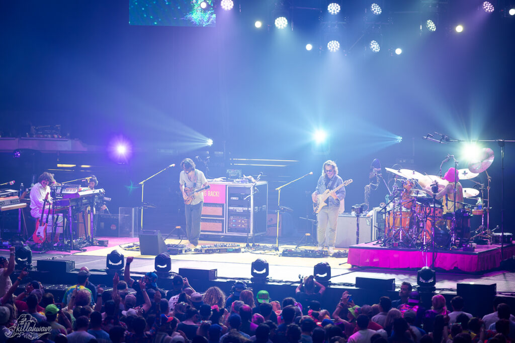 Goose | MSG