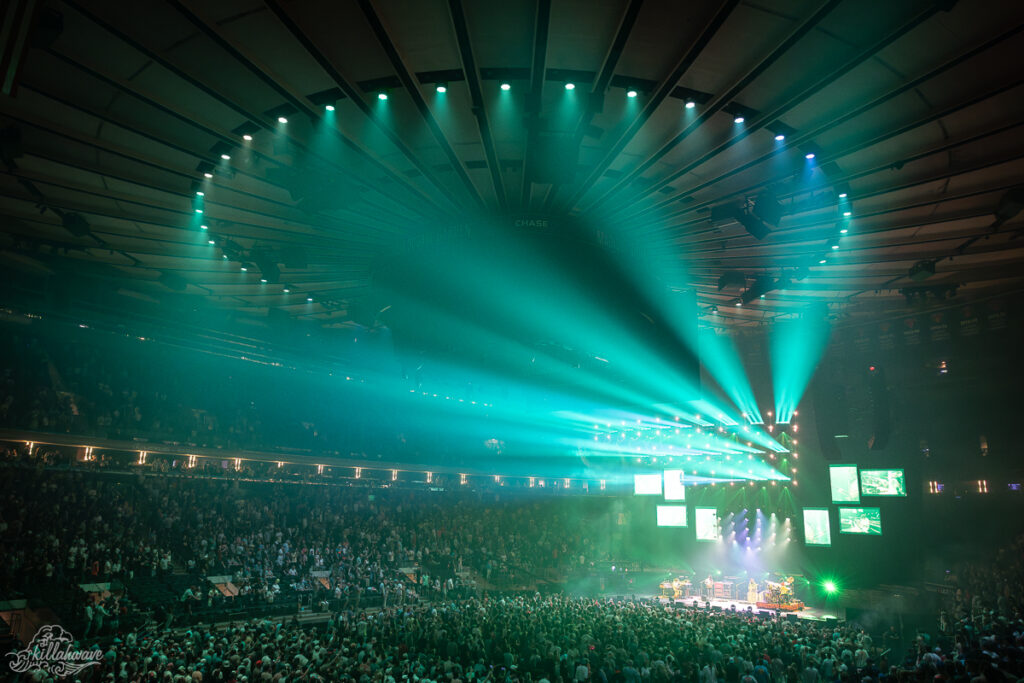 Goose | MSG