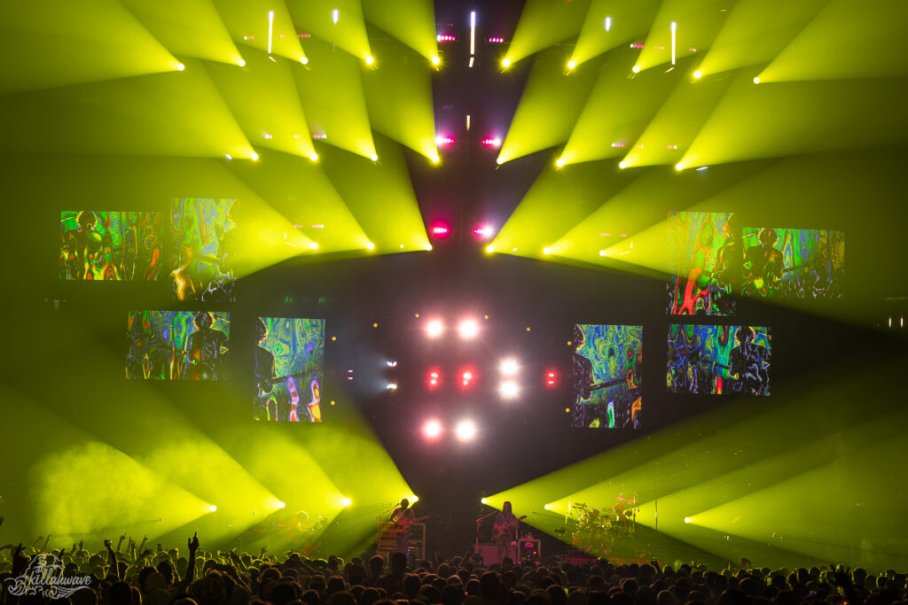 Goose | MSG