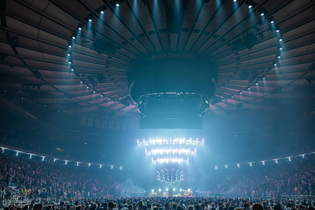 Goose | MSG