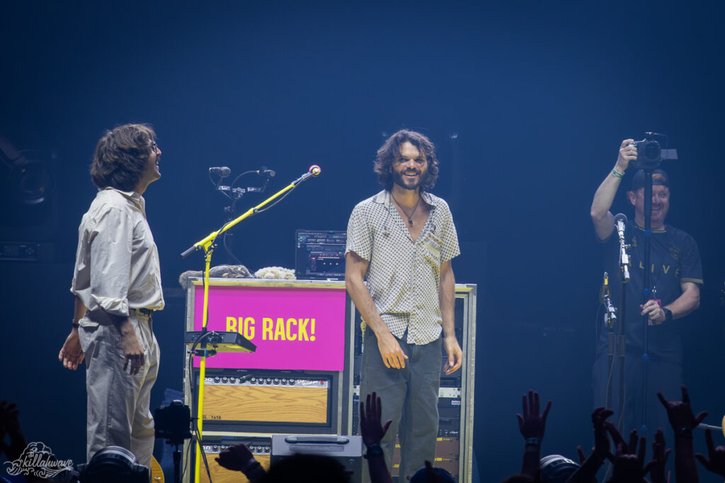 Goose | MSG