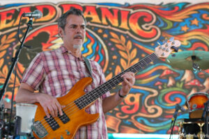 Male bassist playing an orange electric bass on stage in front of a colorful mural backdrop, with a microphone nearby.