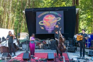 Outdoor concert stage with a five-person band performing; large colorful banner behind reads Terrapin Rootsfolk, with violin, upright bass, drums, and guitar players on stage.