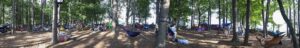 People lounging in colorful hammocks stretched between trees in a forested park a sunny day.