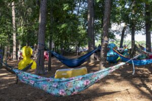 Hammocks strung between pine trees in a sunny wooded campsite with people relaxing in the background.