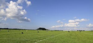 Wide grassy field under a blue sky with white fluffy clouds; distant buildings and trees on the horizon.