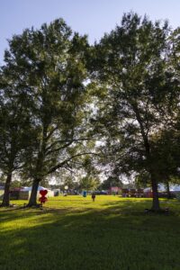 Park scene with tall trees arching overhead, sunlit grass, and tents in the distance at an outdoor event.