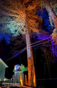 Tall tree illuminated by orange lights at night with a colorful sign reading 'Paper Moon Presents' at the base.