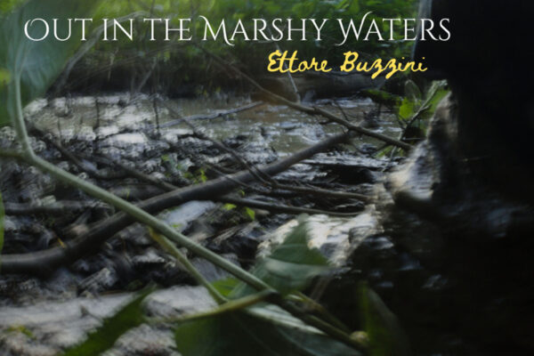 Overlay text on a swampy, sunlit scene: 'Out in the Marshy Waters' by Ettore Buzzini