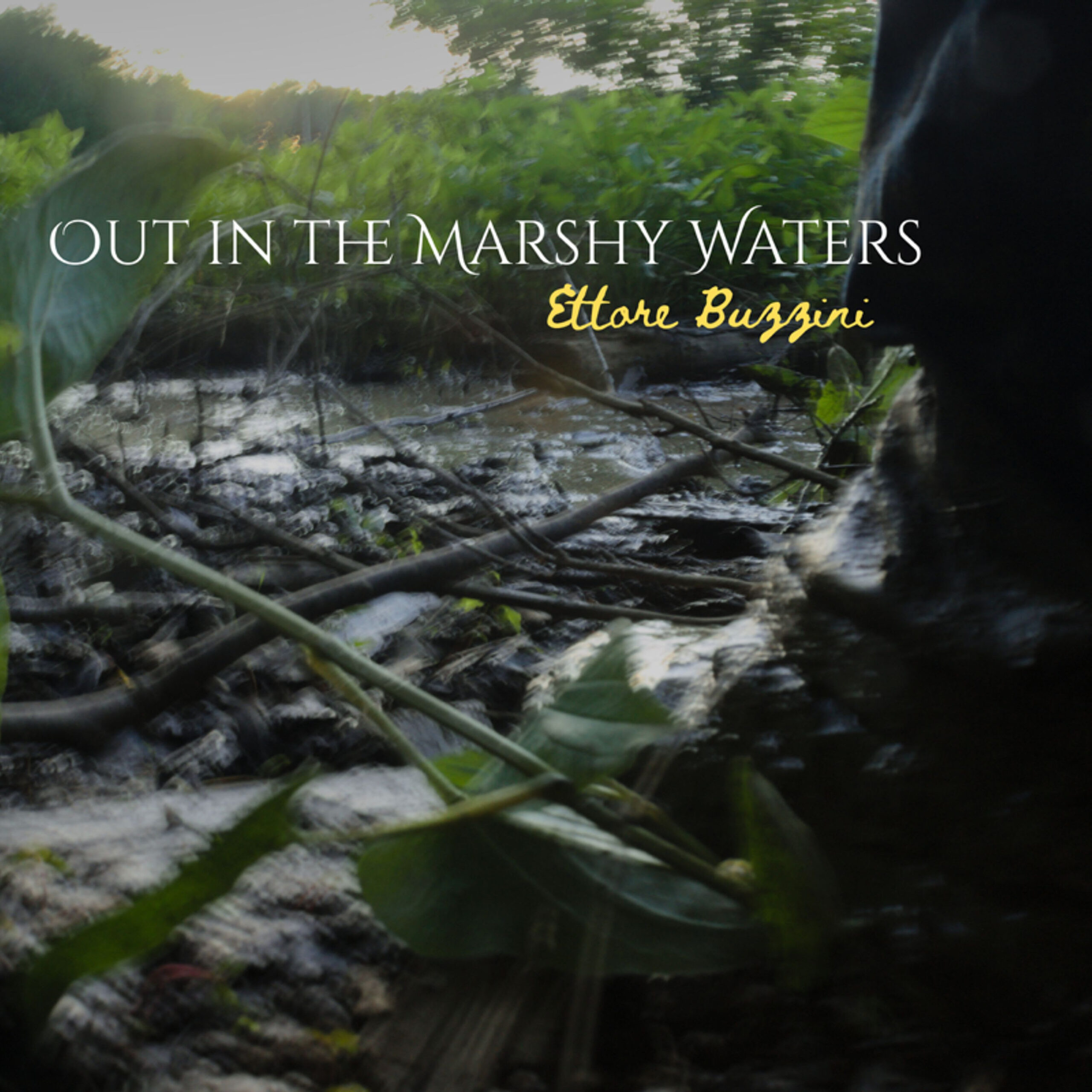 Ettore Buzzini Releases Southern Gothic Bluegrass Single “Out in the Marshy Waters”
