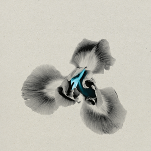 2ŁØT Releases “Iris” Featuring Eric Krasno from Forthcoming Album RE/SOLVE