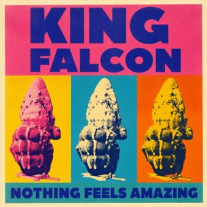 NYC alt-rock trio King Falcon fight to stay present and positive on “Nothing Feels Amazing”