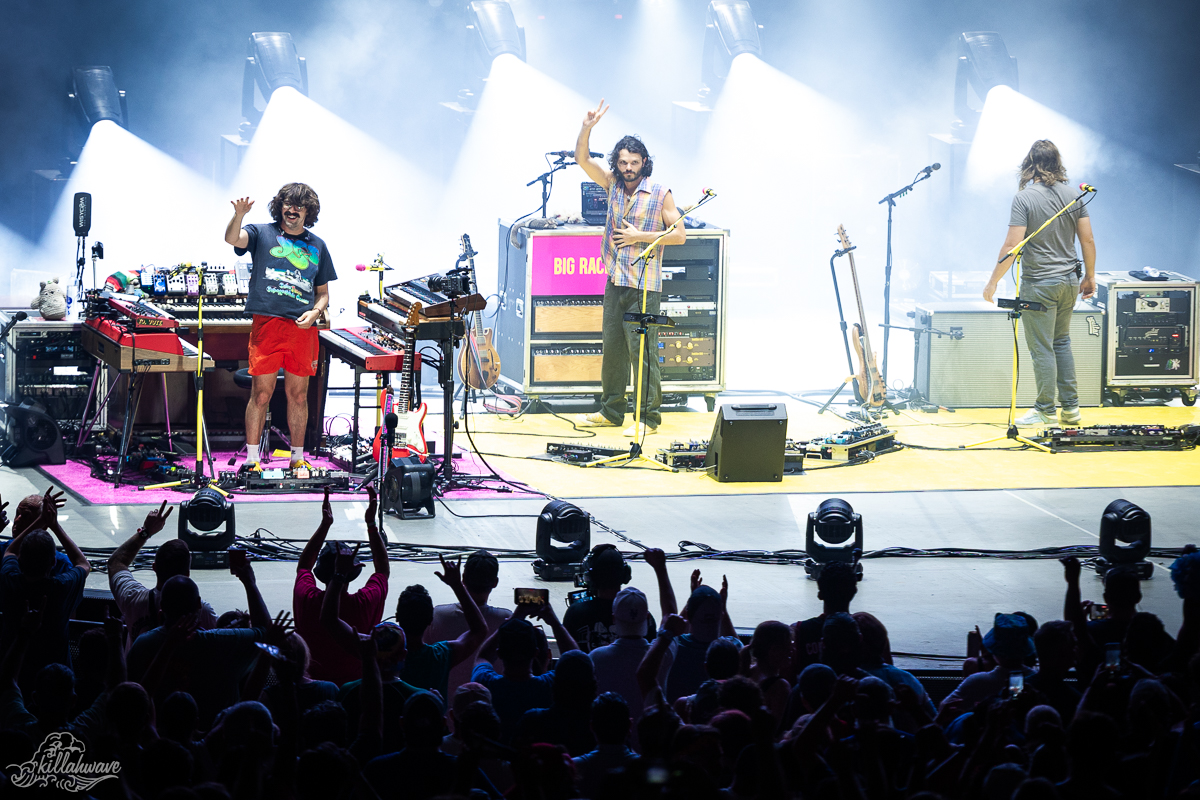 Goose | PNC Bank Arts Center