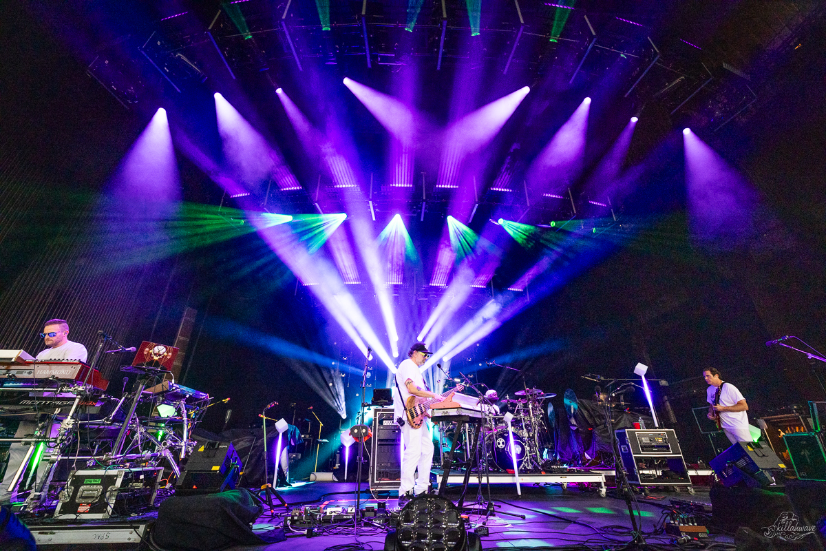 Disco Biscuits | SPAC