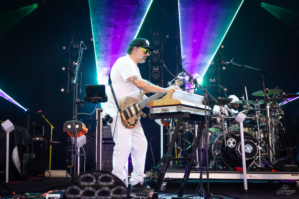 Marc Brownstein | Disco Biscuits | SPAC