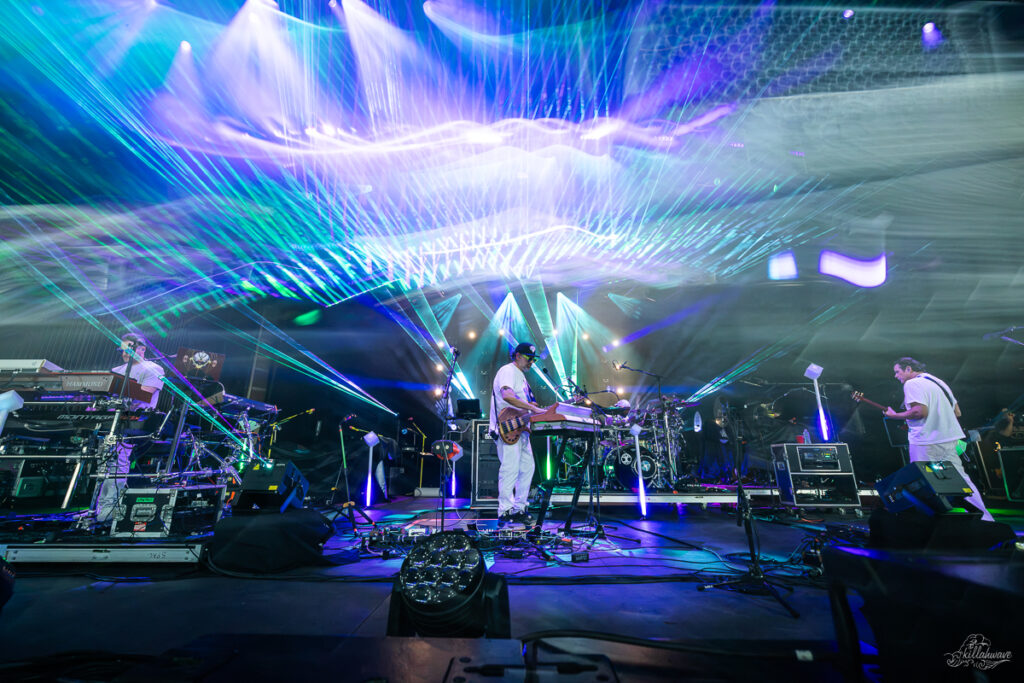 Disco Biscuits | SPAC