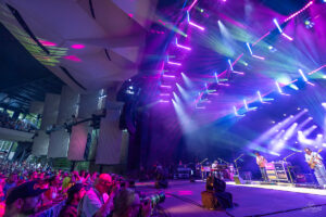Goose | SPAC