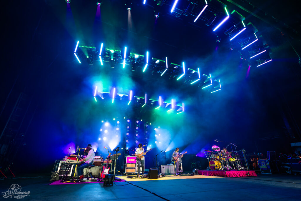 Goose | Albany Med Health System at SPAC