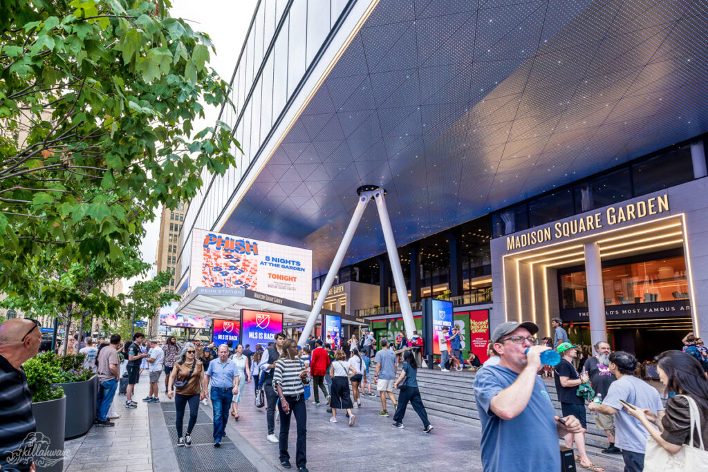 Phish | Madison Square Garden