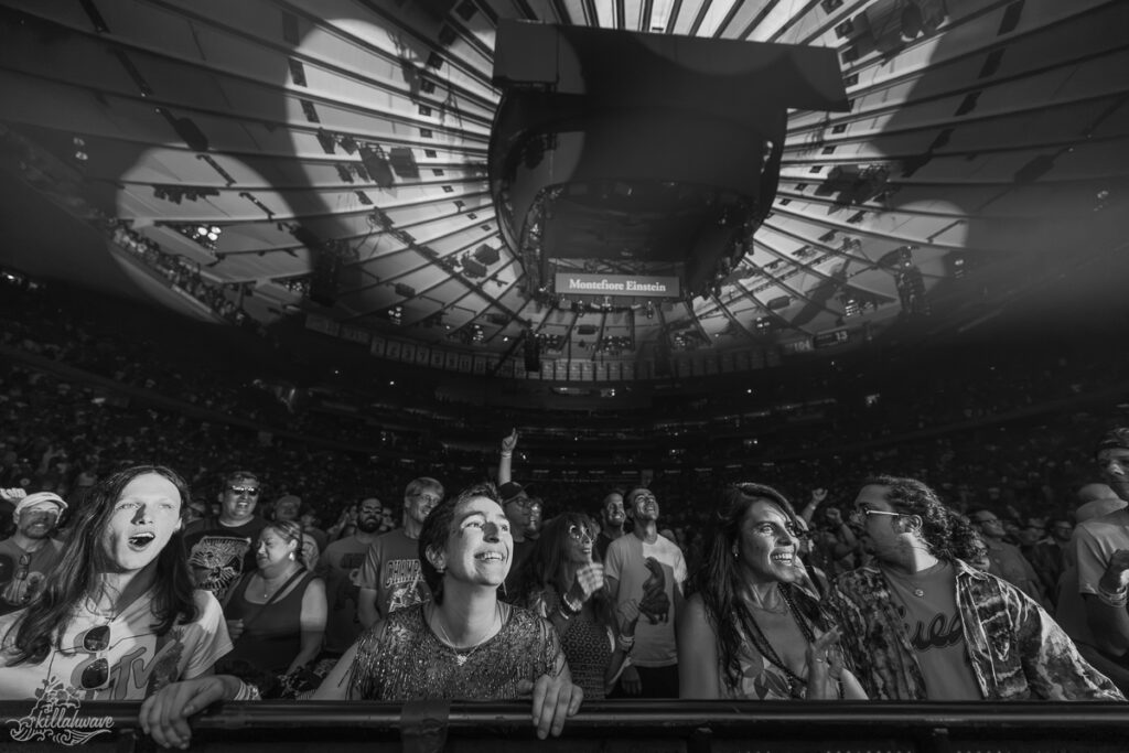 Phish | Madison Square Garden