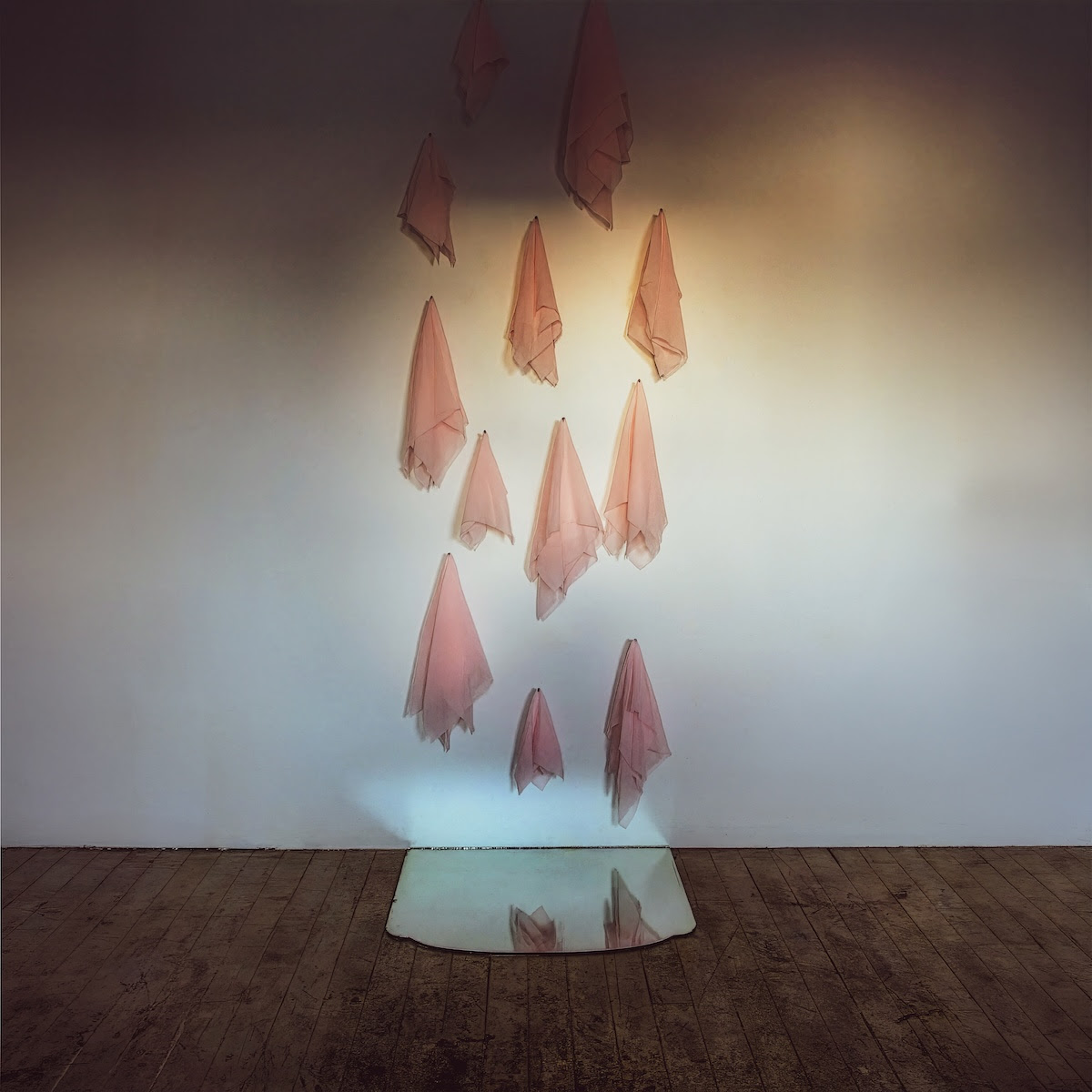 Cricket Blue Announces New Album Sweet Animal, Out September 18