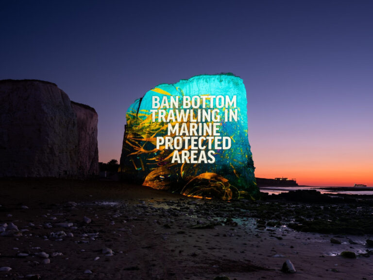 Boardmasters Festival Backs Oceana’s Call to Protect UK Ocean Sanctuaries
