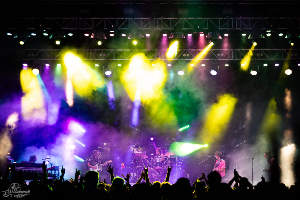 Dogs in a Pile | Stone Pony Summer Stage