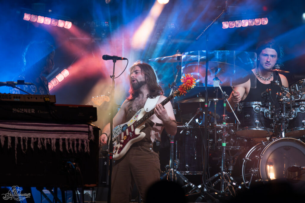 Dogs in a Pile | Stone Pony Summer Stage
