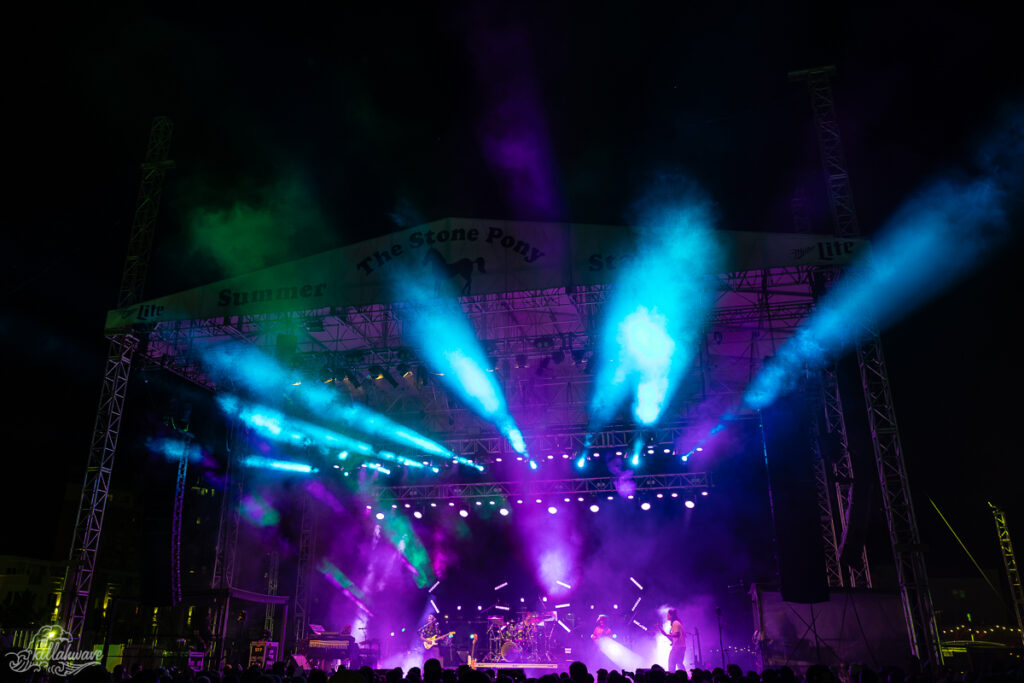 Dogs in a Pile | Stone Pony Summer Stage