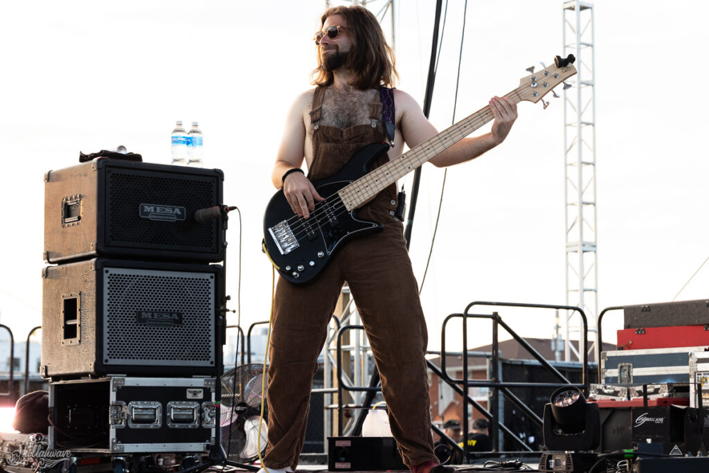 Dogs in a Pile | Stone Pony Summer Stage