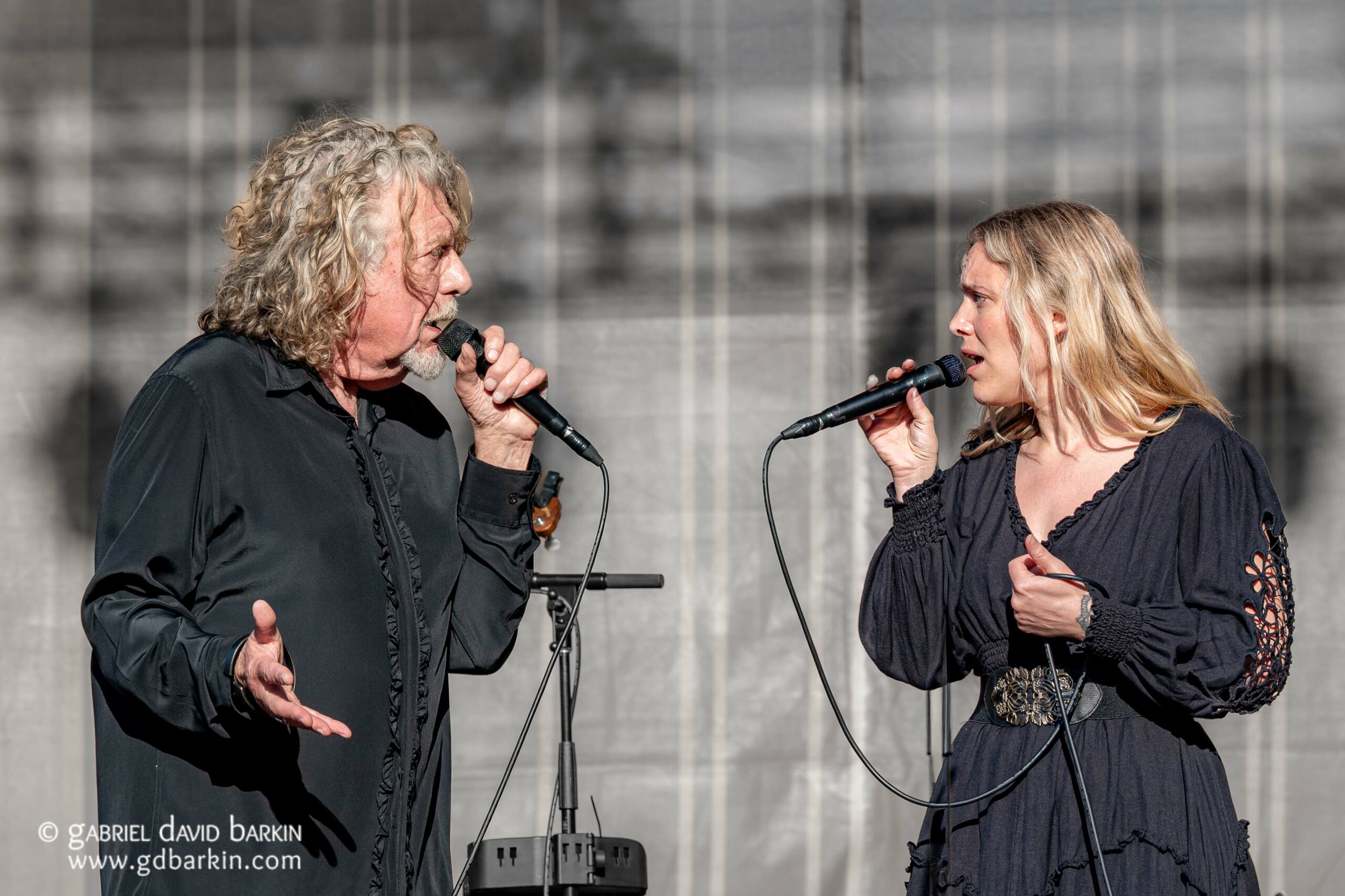 HARDLY STRICTLY BLUEGRASS 2026: TAKE THE (FREE!) QUIZ