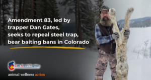 Vote No on Amendment 83 and Protect Colorado’s Wildlife