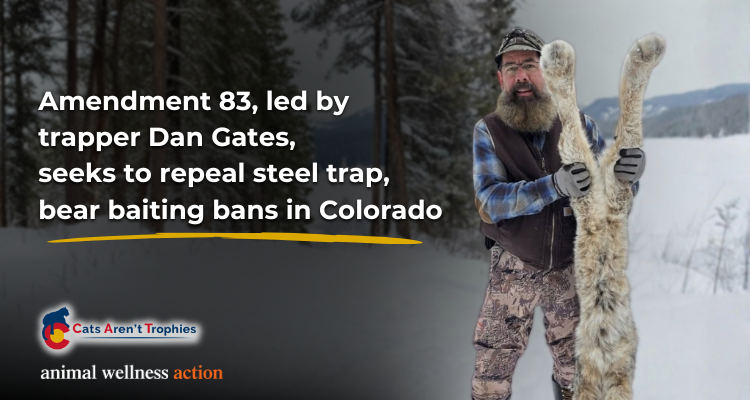 Vote No on Amendment 83 and Protect Colorado’s Wildlife